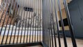 Polpo Apartments - 19